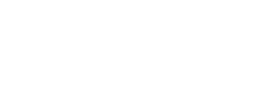 The Michelle Aesthetic
